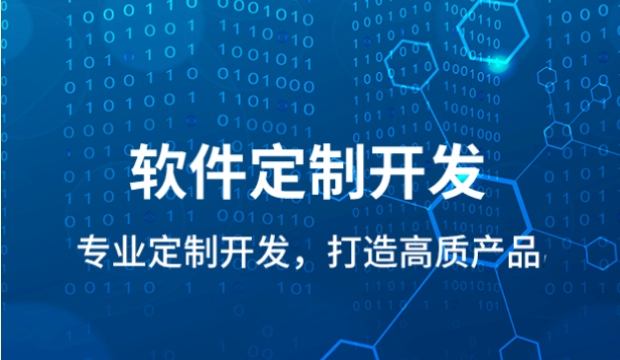 BS架构软件开发是什么，软件开发价格是多少，单机多人内部全网领导员工管理软件开发解决方案。