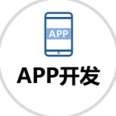 APP开发