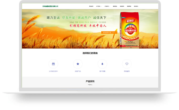 肥业公司网站设计PC+手机网站设计案例